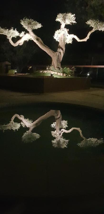 Les Gites De L'Arbousier Quissac  Kültér fotó